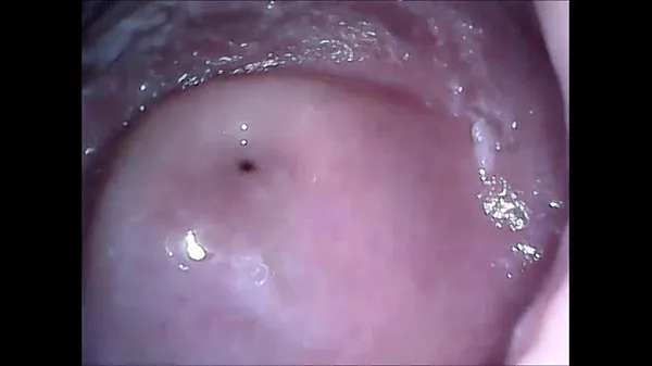 Big cam in mouth vagina and ass warm Videos